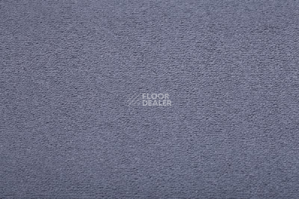 Ковролин Condor  Magic 76 фото 1 | FLOORDEALER